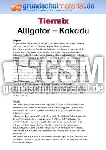Alligator - Kakadu.pdf